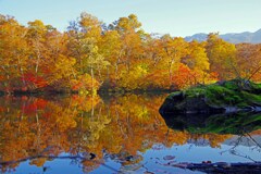 紅葉Reflection　IMGP6890zz