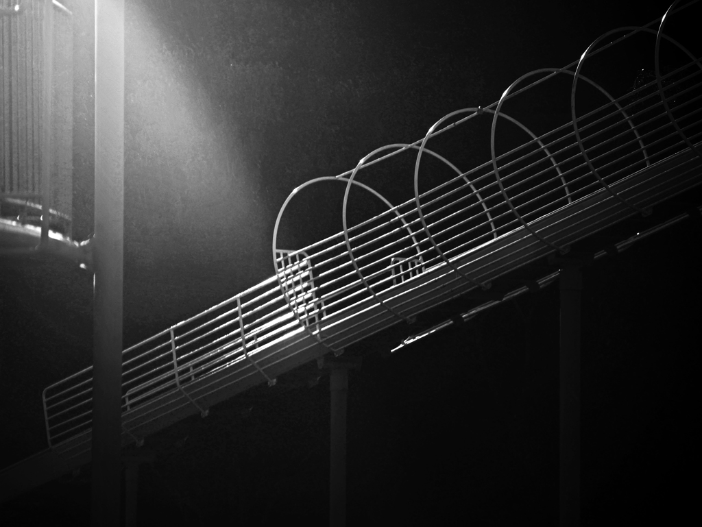 陽のシャワー　P1480650zz