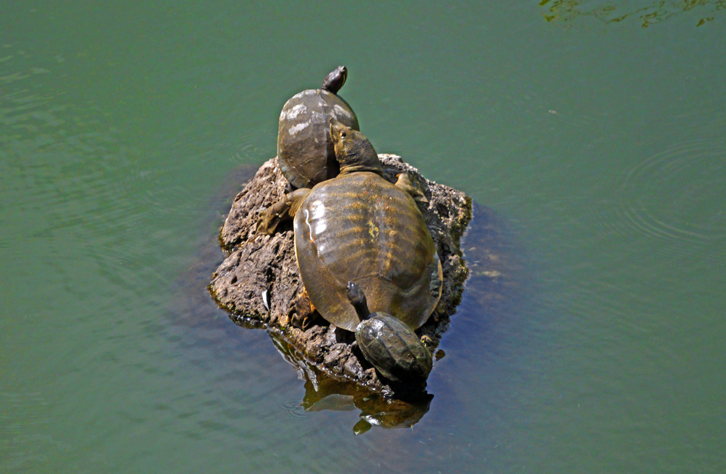 スッポンポン(笑)　P1043048zz