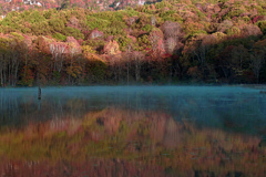 秋模様　IMGP3361zz