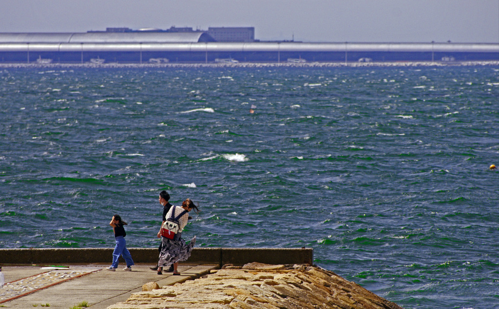 強風の昼下がり　IMG9221zz