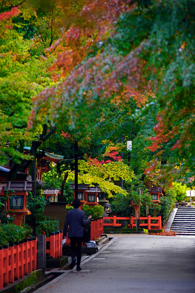 見ごろはこれから　IMGP1134zz