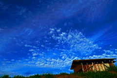 秋色の空 其の弐　P1440625zz