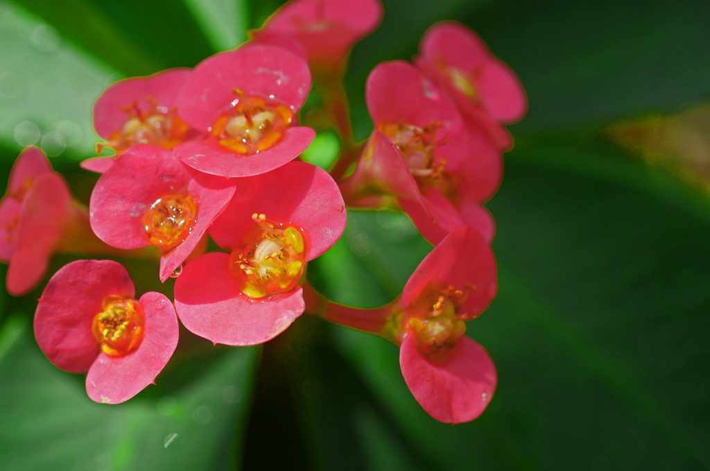 「いっぱい涙を浮かべてた」　P1240297zz