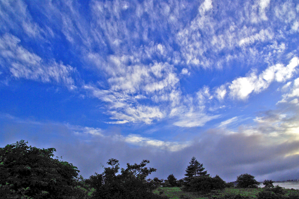 朝の雲 霧ヶ峰　IMGP4634z