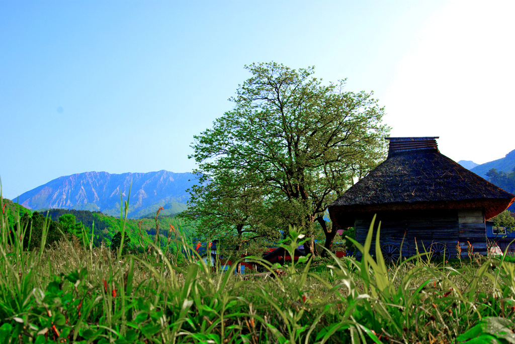 原風景　IMGP4353zz