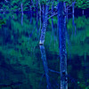 幻影の湖　IMGP5767zz