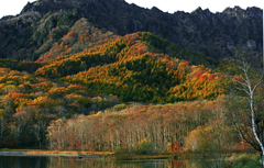 秋夕映(あきゆうばえ）　IMGP9610zzz