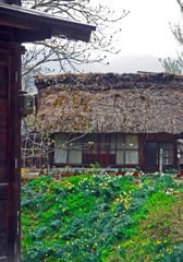 山里の春　IMGP1767zz