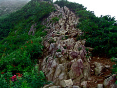 真ん中がルートだよ！　DSC04518zz