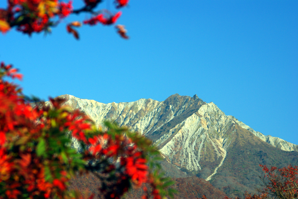 錦秋の大山(ダイセン）　IMGP3051