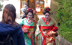 舞妓デビュー　P1125919zz