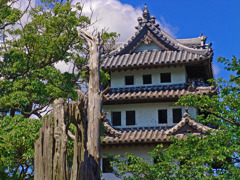 洲本城　DSC00441zz