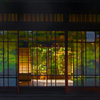 庭園もまた一幅の絵画 　IMGP8489z