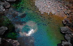 犬帰りの淵　IMGP5413z