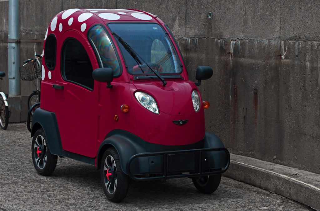 リーガル・ラプター　IMG2304zz