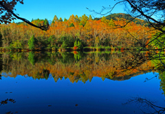 錦繍の三角池Ⅱ　P1113722zz