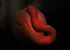 朱いオブジェ　P1080123zz