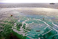 不思議なペンギンプール　IGP1223zz