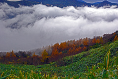 地を這う雲　IMGP6030zz