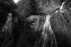 朝陽射す　P1124475zz