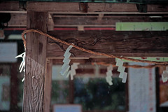 細雪降る手水舎　IMGP1622zz