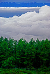 森と雲と槍穂高　IMGP1584zz