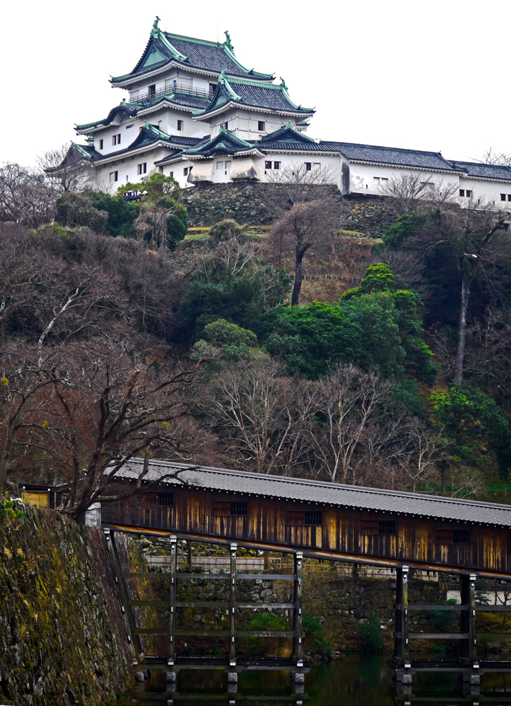 冬枯れの天守閣　P1070153zz