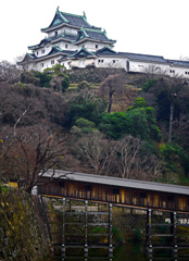 冬枯れの天守閣　P1070153zz