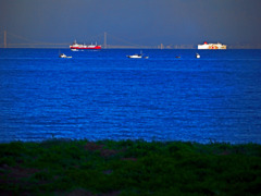 朝の海　P1480589zz
