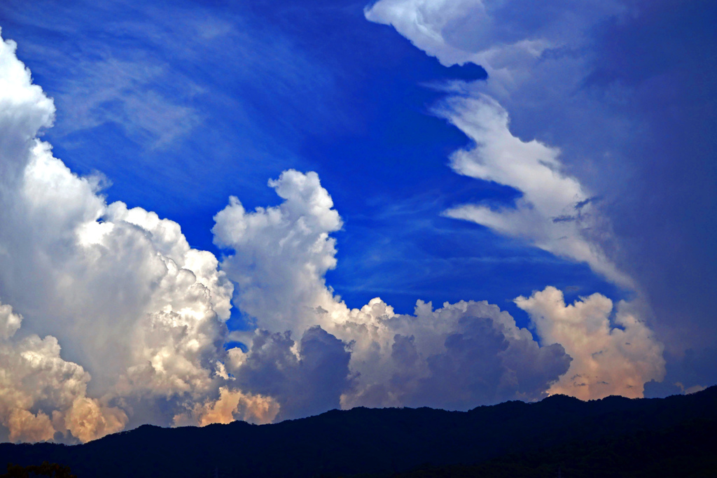 湧き立つ夏雲　P1210681zz