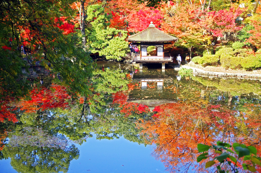 紅葉渓庭園　_IGP0935zz