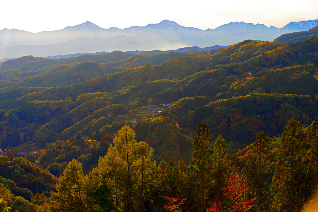 晩秋の陽射し　IMGP9590zz