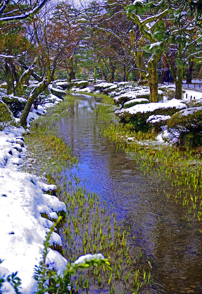 兼六園 残雪   IGP9276zz