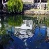 水の揺らぎ そよ風
