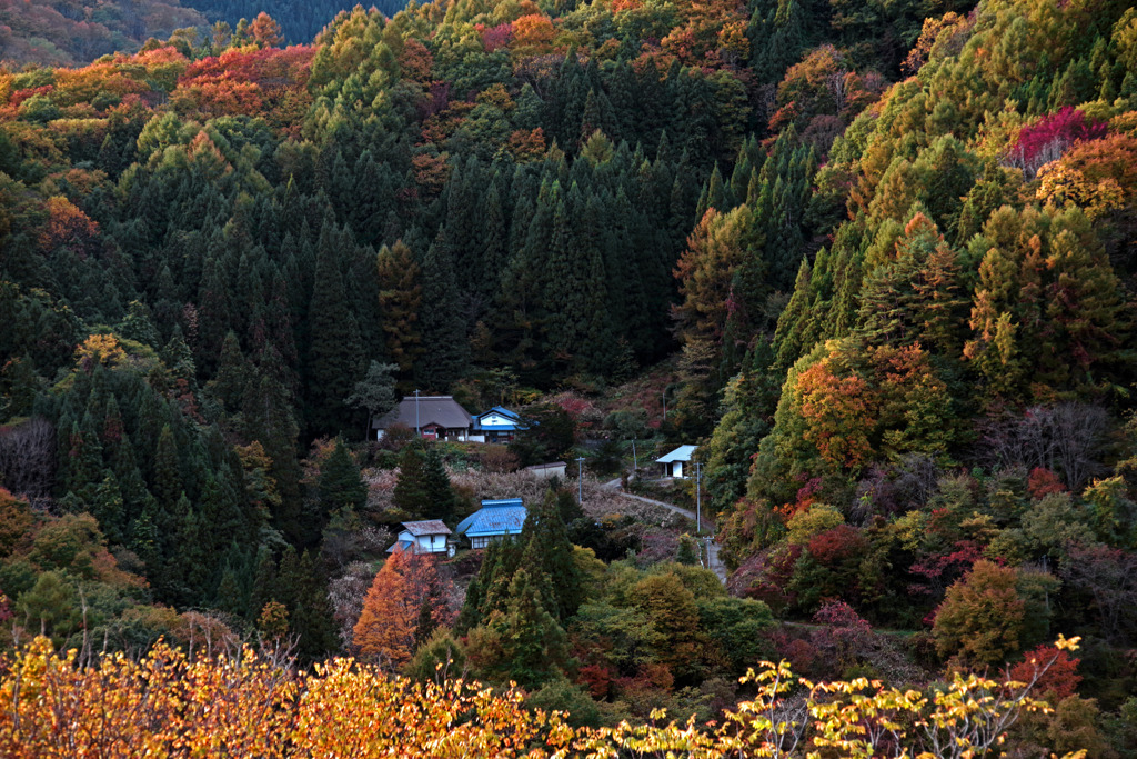 秋色の山里　IMGP9600zz