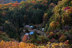 秋色の山里　IMGP9600zz