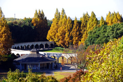 秋深き公園　IMGP3180zz