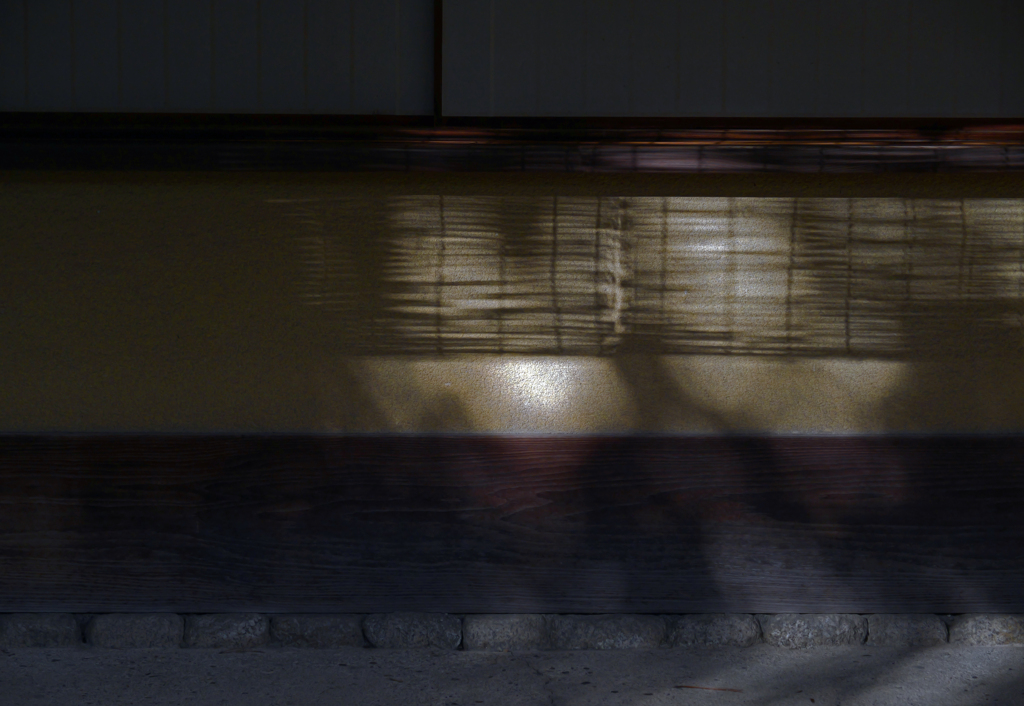 初冬の影　P1146608zz