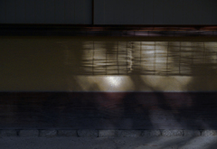 初冬の影　P1146608zz