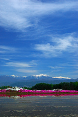 今はもう無い風景　IMGP5382zz