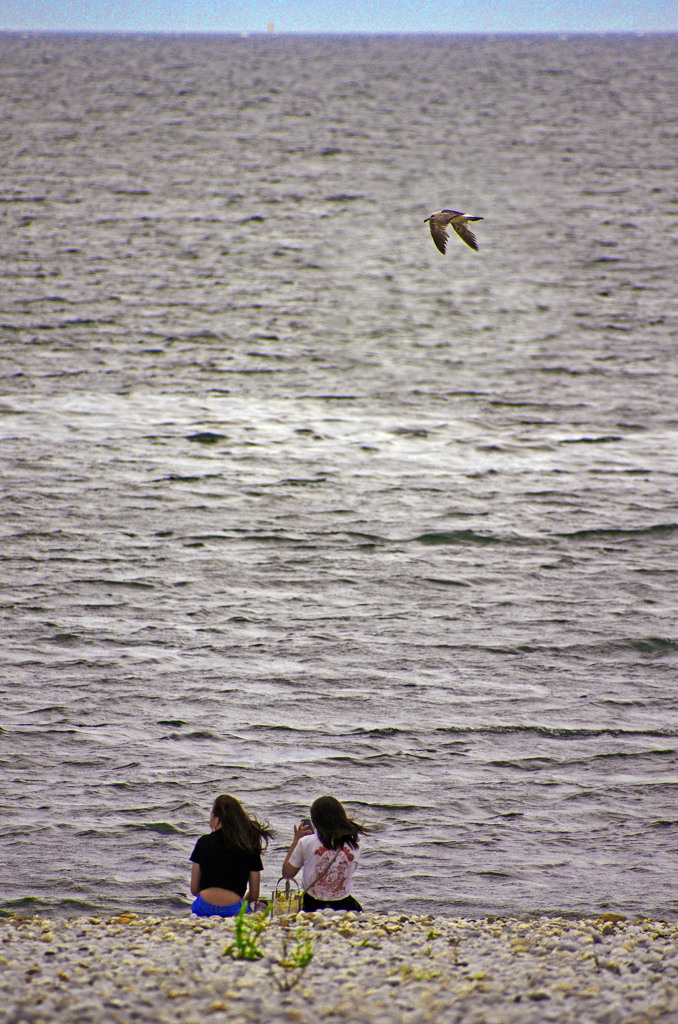 海を眺めて　IMG9065zz