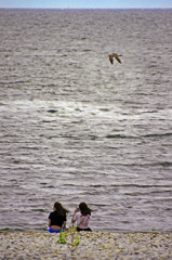 海を眺めて　IMG9065zz