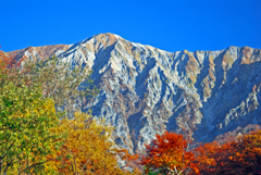 秋本番 大山北壁　IMGP3004zz