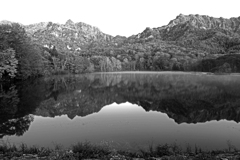 早朝の鏡池　P1113963zz