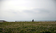 自転車が行く　IMGP6653zz