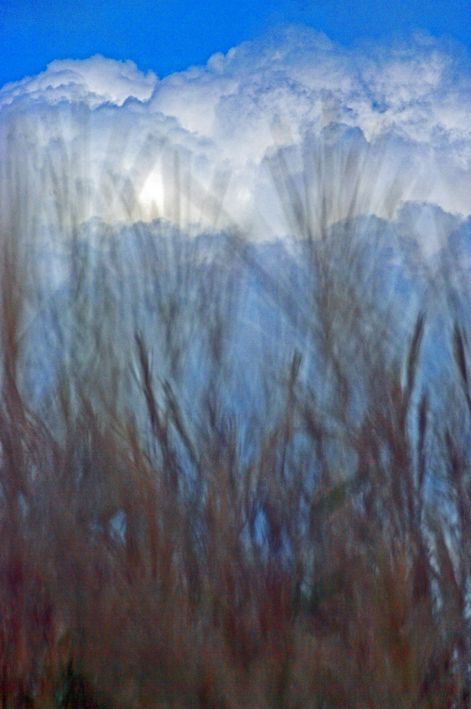 薄の原 印象　IMGP9827z