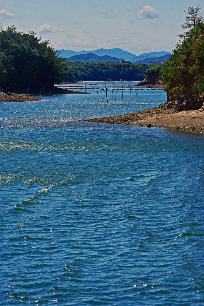志摩の海 真珠育む入江　IMGP5693zz