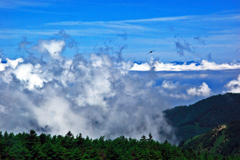 雲湧く谷から　IMGP4825zz