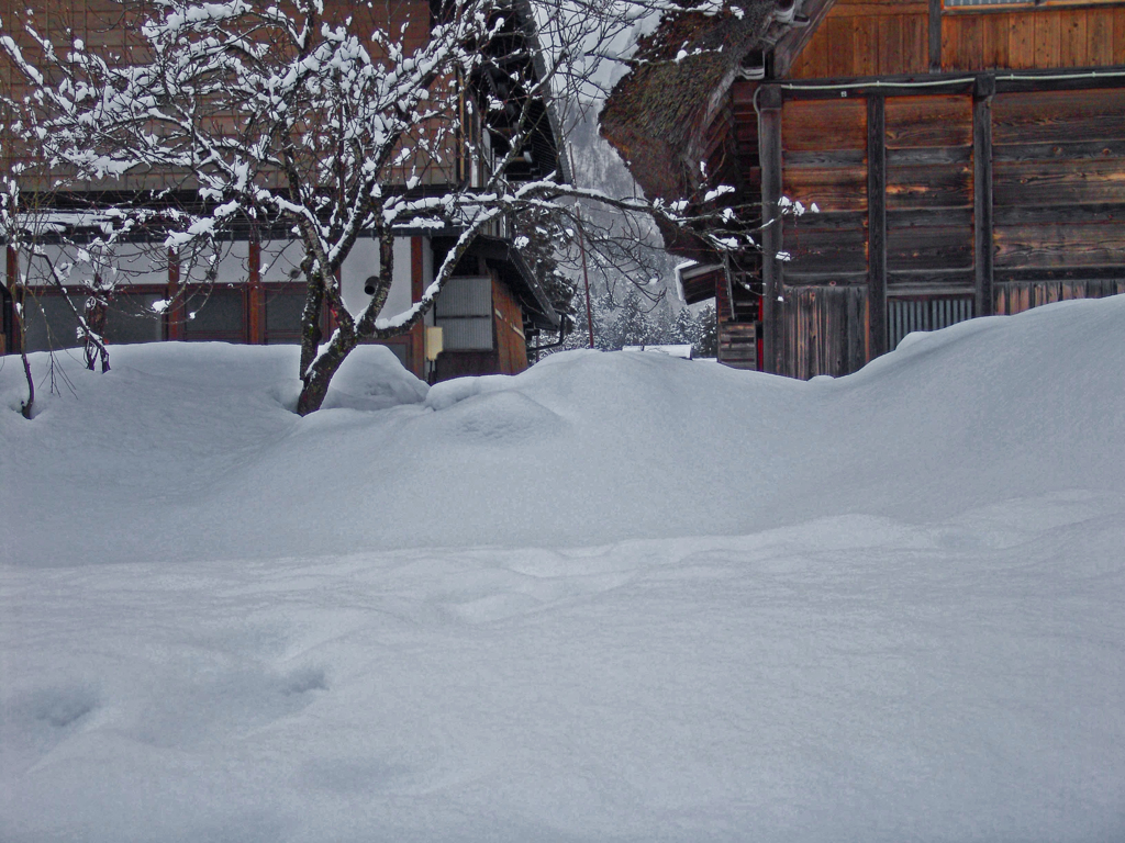 白川郷スケッチ　DSC01741zz